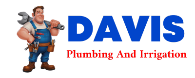 Trusted plumber in NEW BRAINTREE